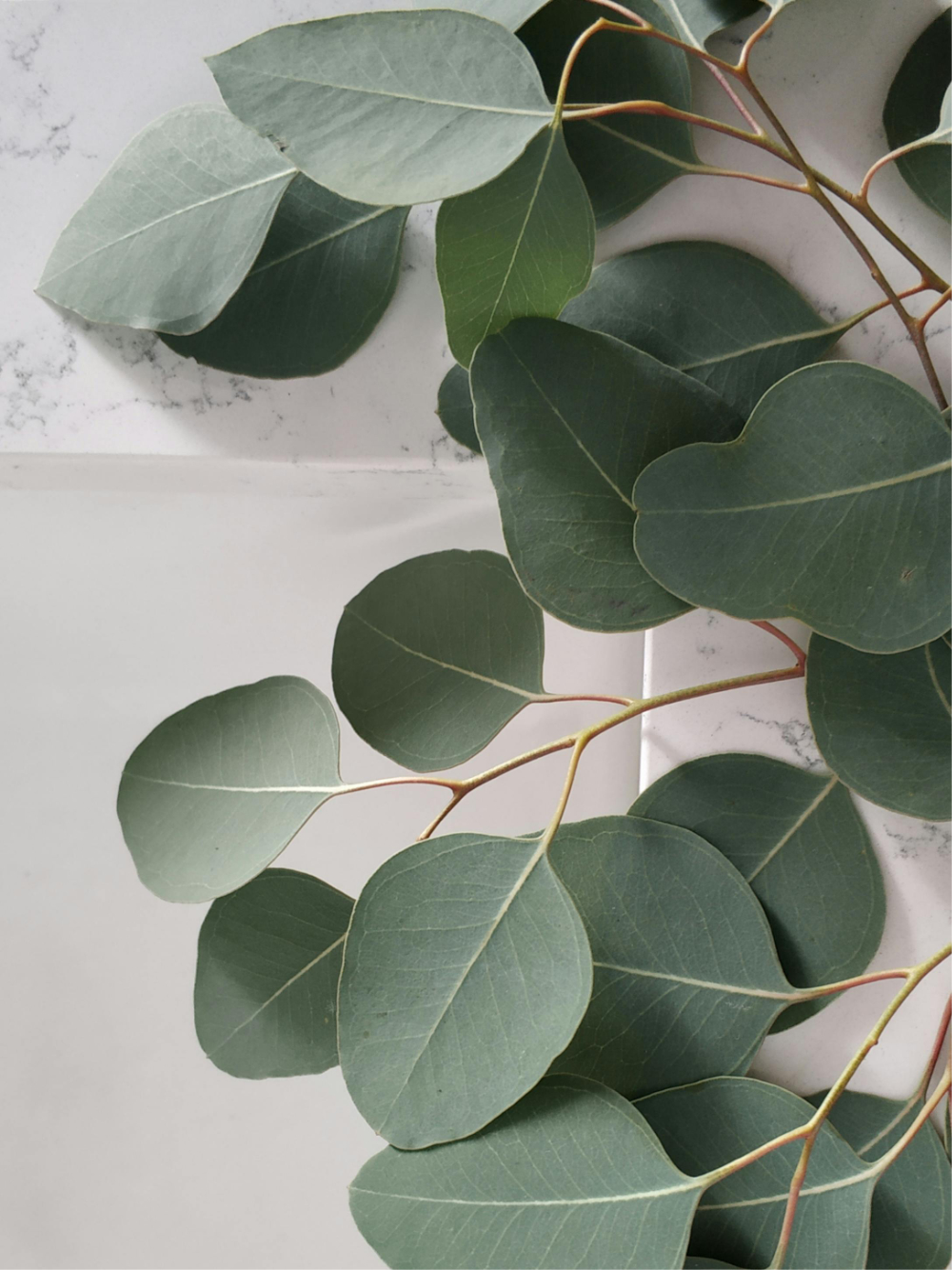 green leaves